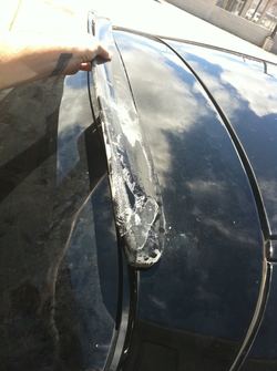 0a859f6e.jpg 0a859f6e.jpg