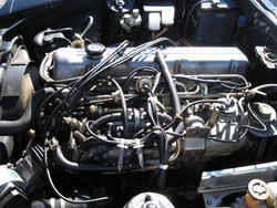 IMG_4606.jpg IMG_4606.jpg