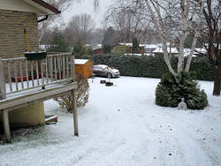 IMG_2010_1.jpg IMG_2010_1.jpg