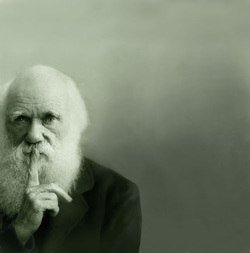darwin-shh.jpg