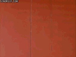 funny-gifs-en-garde.gif
