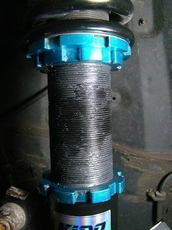 DSC00482s_zpse9291b70.jpg DSC00482s_zpse9291b70.jpg