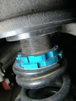 DSC00485s_zps074ac62b.jpg DSC00485s_zps074ac62b.jpg