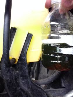 9C9D2B40-A448-40B4-AF7E-A43CFA6EED5A_zpsgwswaovk.jpg 9C9D2B40-A448-40B4-AF7E-A43CFA6EED5A_zpsgwswaovk.jpg