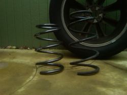IMG00141-20091214-1509.jpg