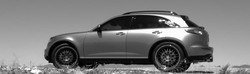 IMG_0413.jpg