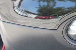 IMG_1798.jpg IMG_1798.jpg