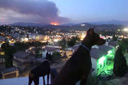 LA-Fires2009_1.jpg