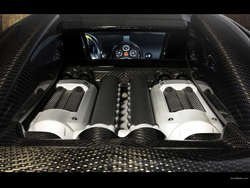 Bugatti_veyron_mansory_149_1600x1200.jpg