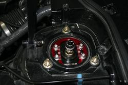 IMG_3787Medium.jpg