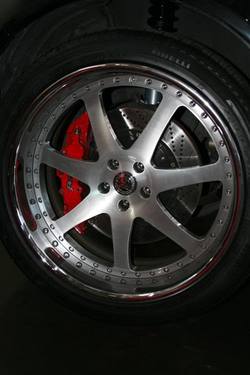 IMG_3813Medium.jpg