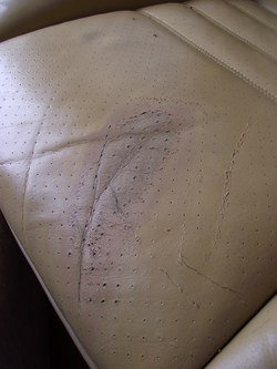 963806DSCF1230Copier.jpg