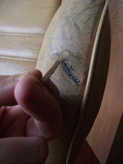 712264DSCF1264.jpg