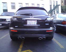 IMG00010.jpg