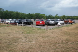 DSC02500.jpg