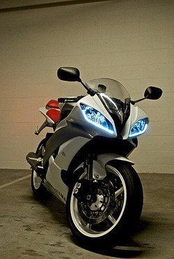 4065694083_a1933a1d06.jpg