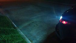 d0365392-317d-0c76.jpg