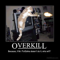 overkill.jpg