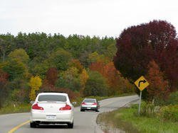 IMG_0391_1.jpg