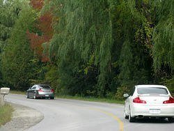 IMG_0386_1.jpg
