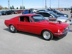 IMG_0441_1.jpg IMG_0441_1.jpg
