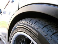 IMG_0824.jpg