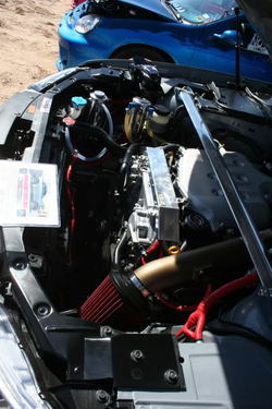 IMG_4252.jpg