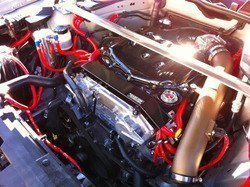 IMG_0594.jpg