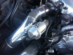 IMG_2242.jpg