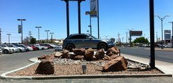 IMG_2290.jpg