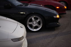 IMG_4517.jpg