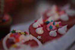 IMG_4520.jpg IMG_4520.jpg