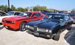 captree_others17.jpg