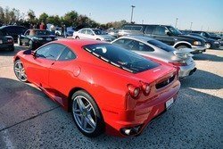 captree_others38.jpg