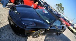 captree_others40.jpg