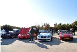 captree_others49.jpg