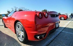 captree_others55.jpg