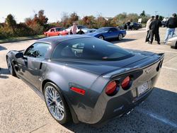 captree_others58.jpg