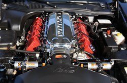 captree_others60.jpg