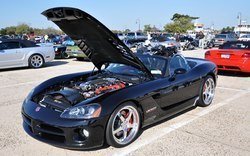 captree_others61.jpg