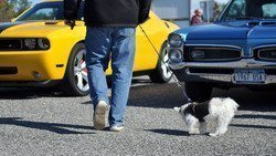 OakBeachPark_5_26_13-028.jpg