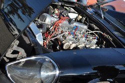 OakBeachPark_5_26_13-048.jpg