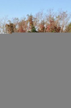 18bc6007-7400-b221.jpg