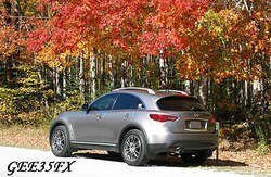 IMG_0483_IScopy.jpg