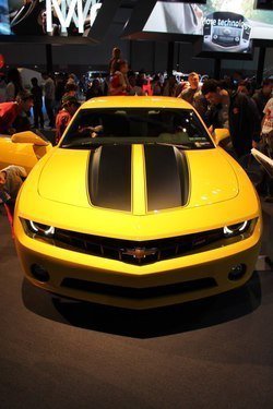 IMG_3438.jpg IMG_3438.jpg
