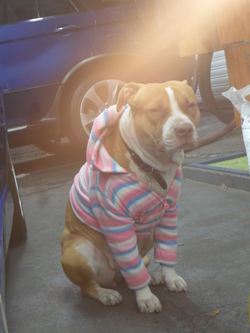 19-11.jpg