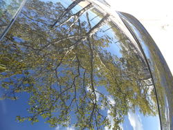 111-2.jpg