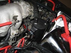 IMG_2891.jpg