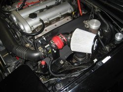 IMG_2943.jpg