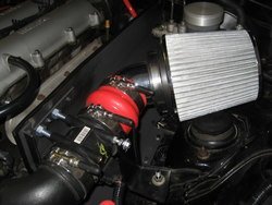 IMG_2944.jpg